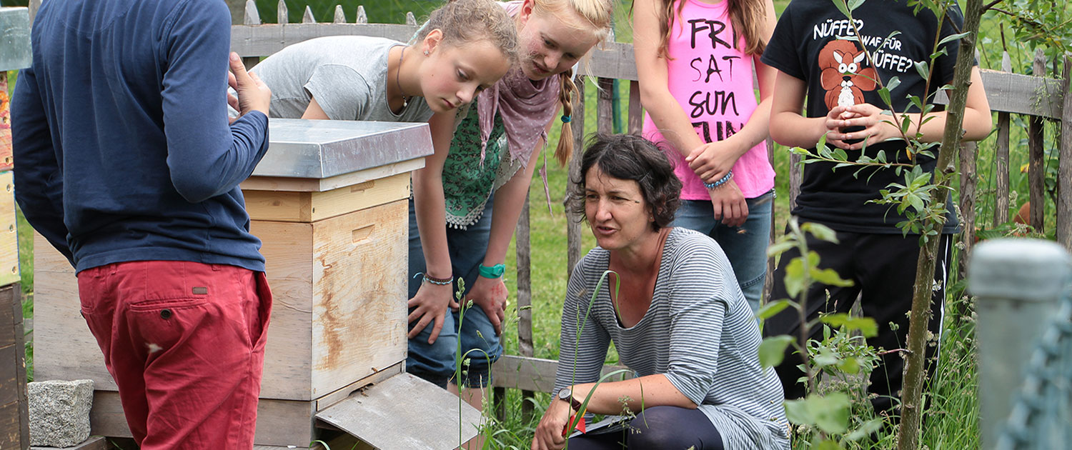 Pflege der Schulbienen, Gartenbauunterricht