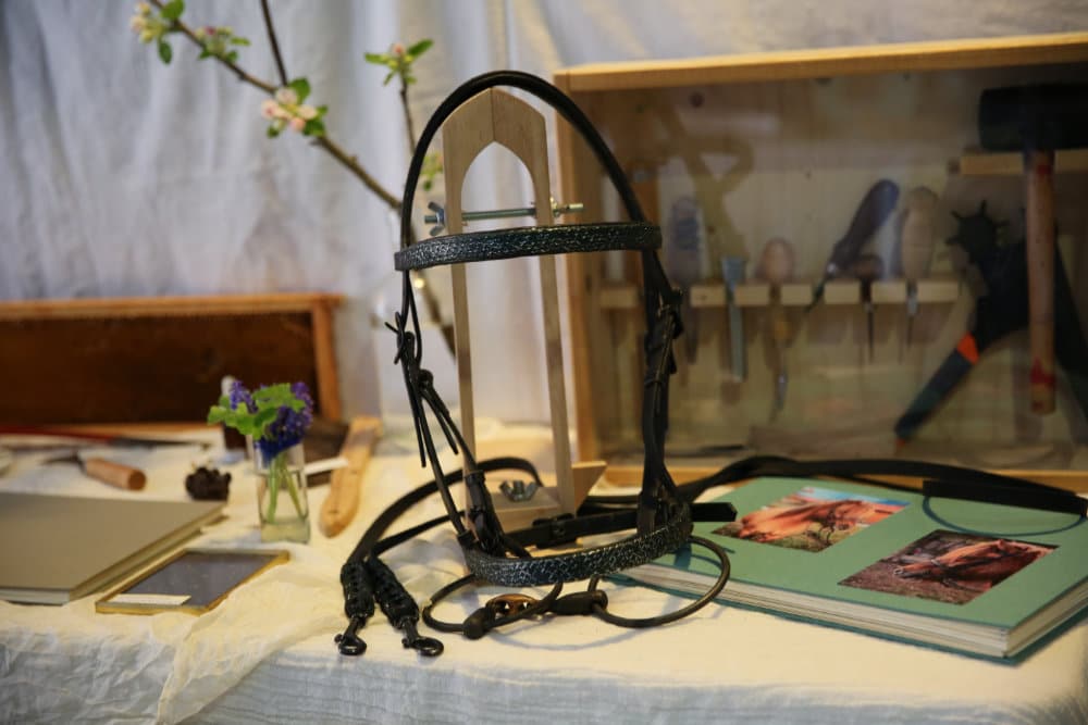 Zaumzeug, Projektarbeit 8b